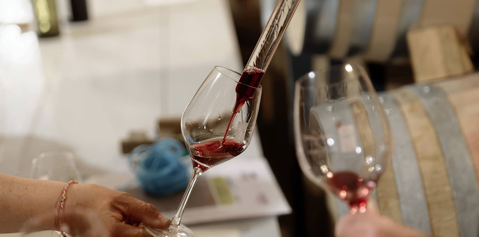 Dégustation de vins du Val de Loire