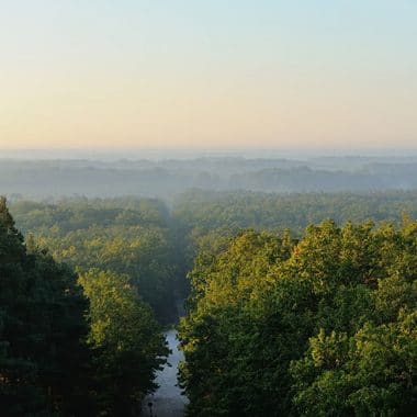 Belvédère des Caillettes dans la forêt d'Orléans © B.Quintard