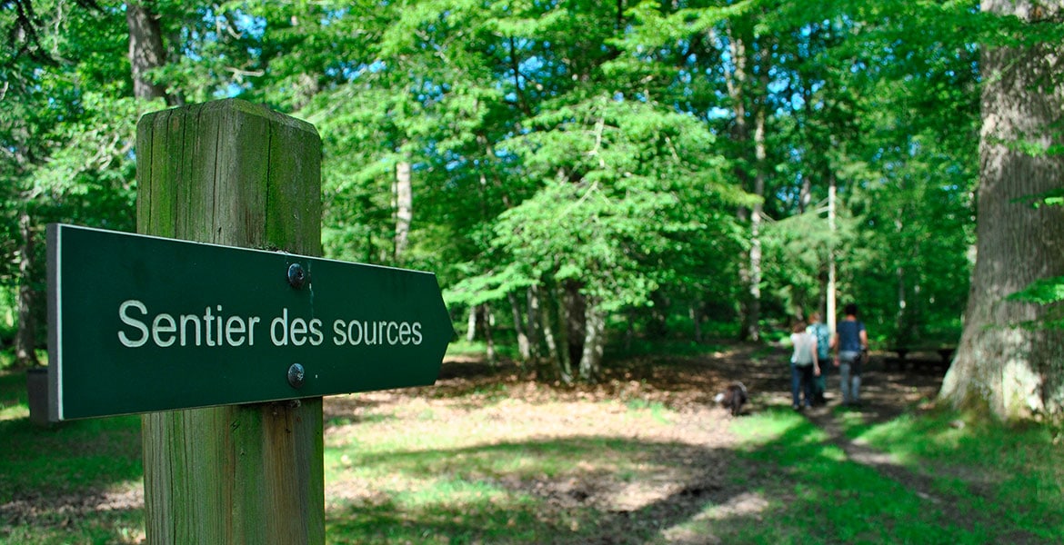 Le sentier des sources dans la forêt d'Orléans © A.Verger © A.Verger CRT Centre-Val de Loire
