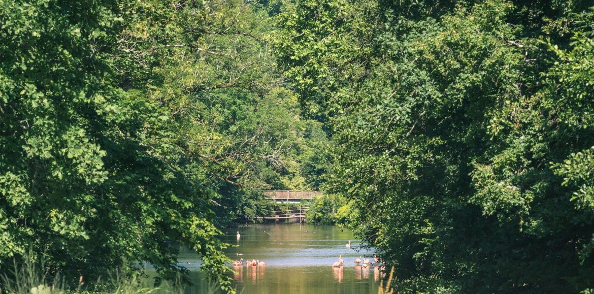 Parc Floral de la Source à Orléans © Orléans Val de Loire Tourisme