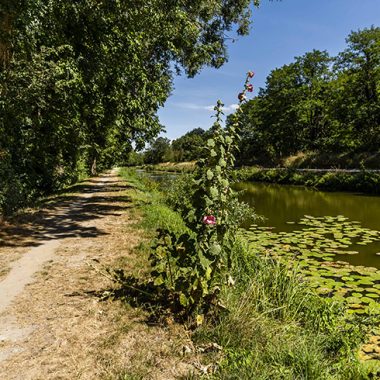 Balade à pied autour d'Orléans