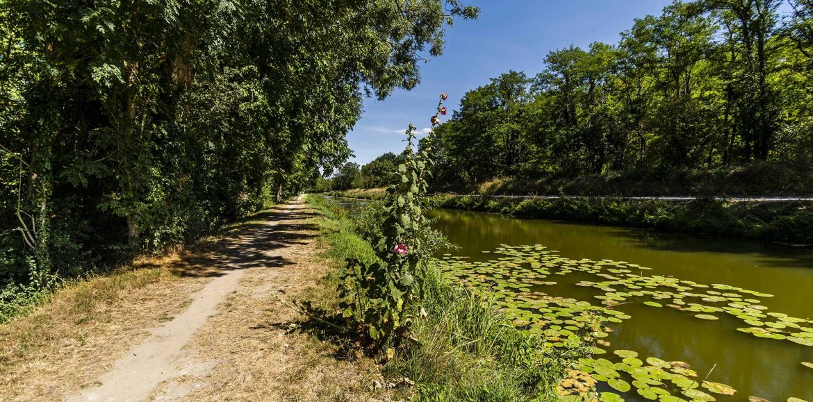 Balade à pied autour d'Orléans