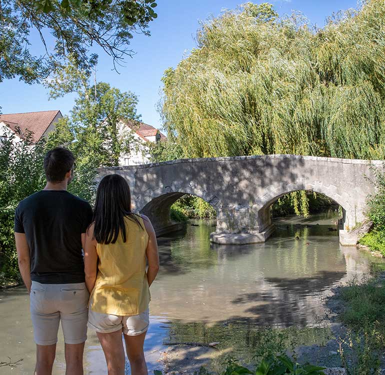 Pont médiéval de Boigny-sur-Bionne