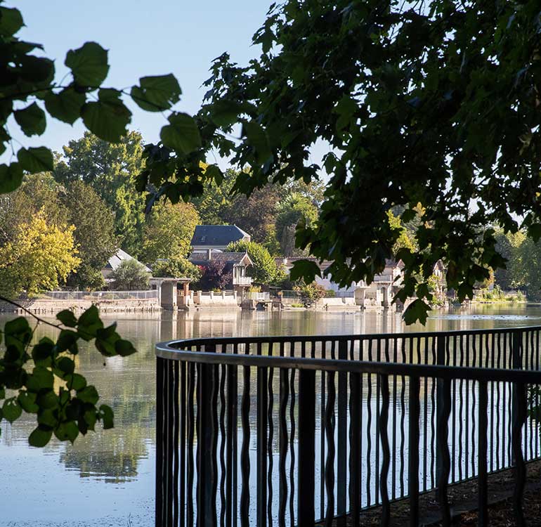 Bords du Loiret à Olivet
