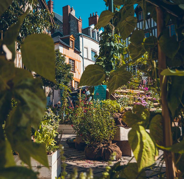 Visiter Orléans et ses parcs et jardins