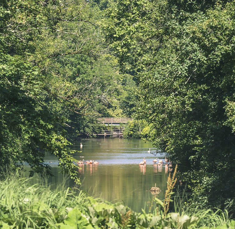 Parc Floral de la Source à Orléans © Orléans Val de Loire Tourisme
